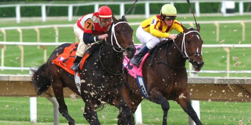 Hiểu rõ quy tắc và cách chơi của đua ngựa sapa