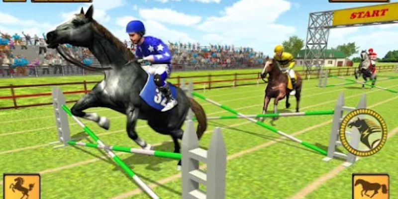 Các bước chơi game đặt cược đua ngựa