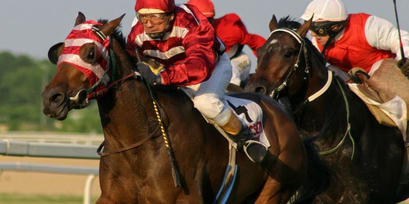 Tổng quan về trò chơi đua ngựa tại nhà cái 789club