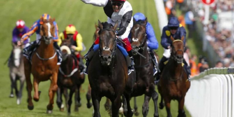 Một số chiến lược được áp dụng phổ biến trong trò chơi đua ngựa